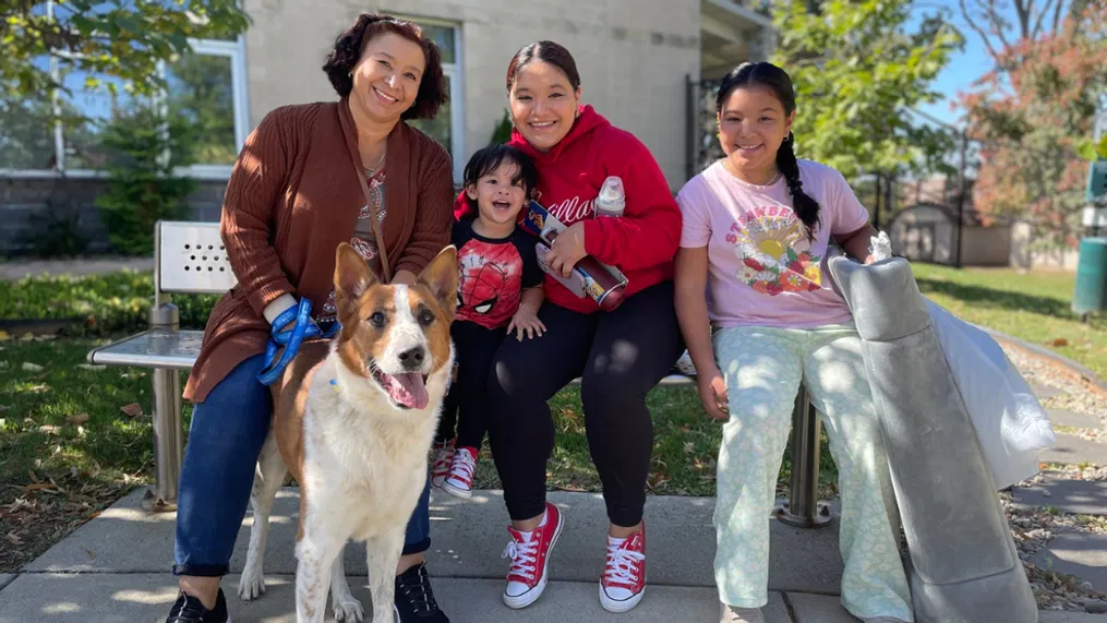 Animal Rescue Center
