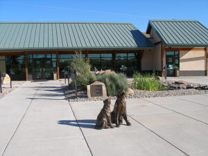 Animal Rescue Center 