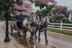 Mackinac Island Tourism
