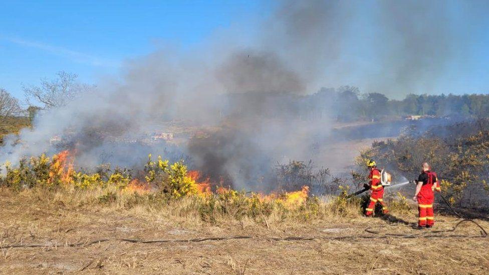 Firefighters