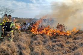 Firefighters 