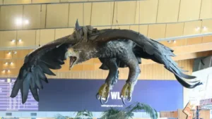 NZ airport