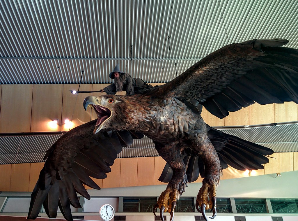 NZ airport
