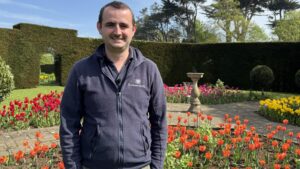 Tulips Flower Festival