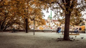 happiest cities