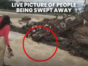 Bridge Collapse