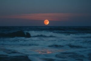 Strawberry moon