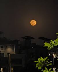 Strawberry moon 